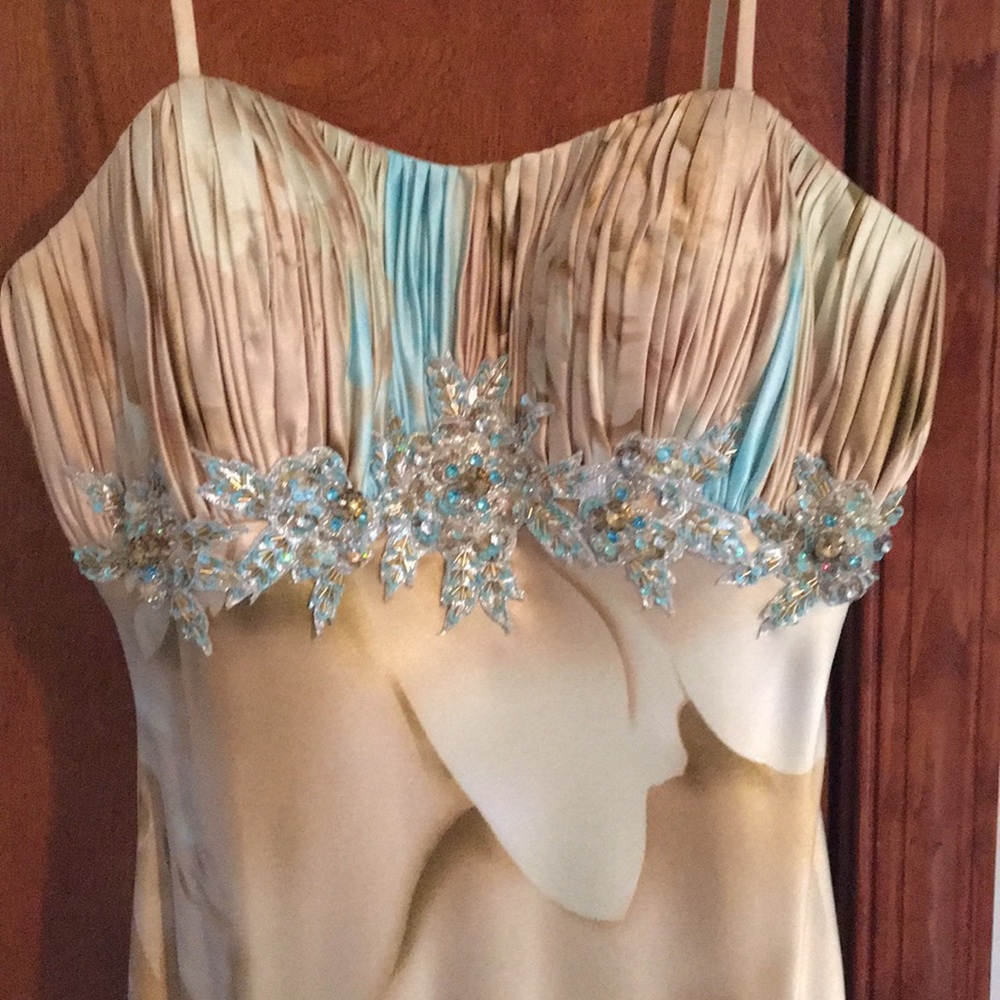 Prom Dress from 2011